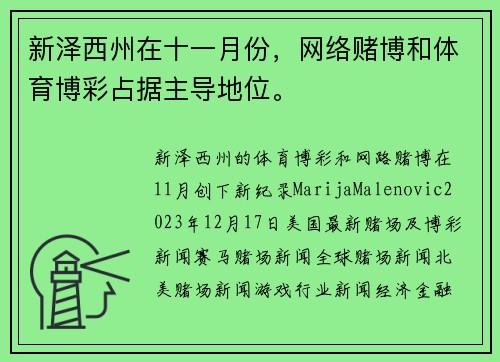 新泽西州在十一月份，网络赌博和体育博彩占据主导地位。